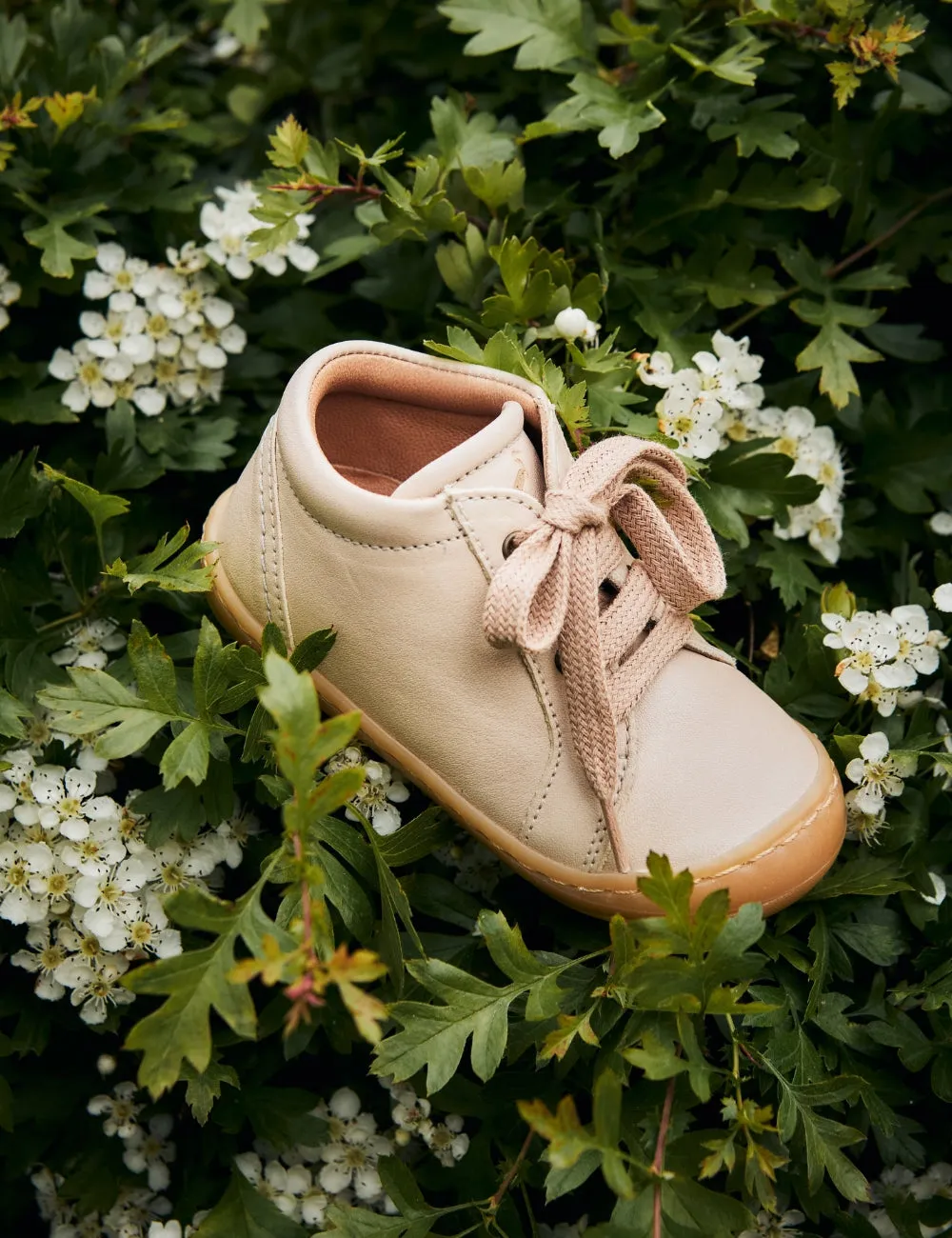 Everyday shoe Lace - Cream